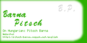 barna pitsch business card
